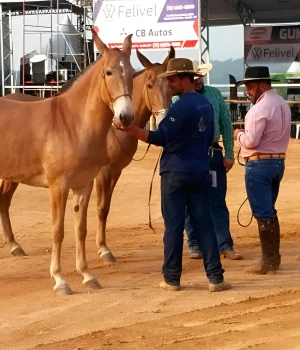 encontro (10)