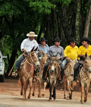 encontro (8)